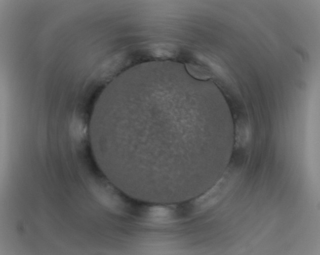 X0000114120176200910191730