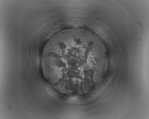 X0000114120177200910191730