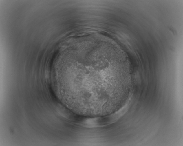 X0000114120178200910191730