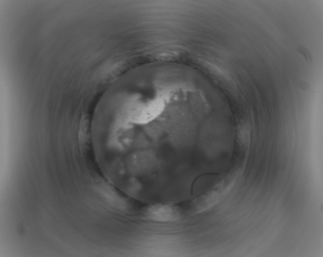 X0000114120181200910191731