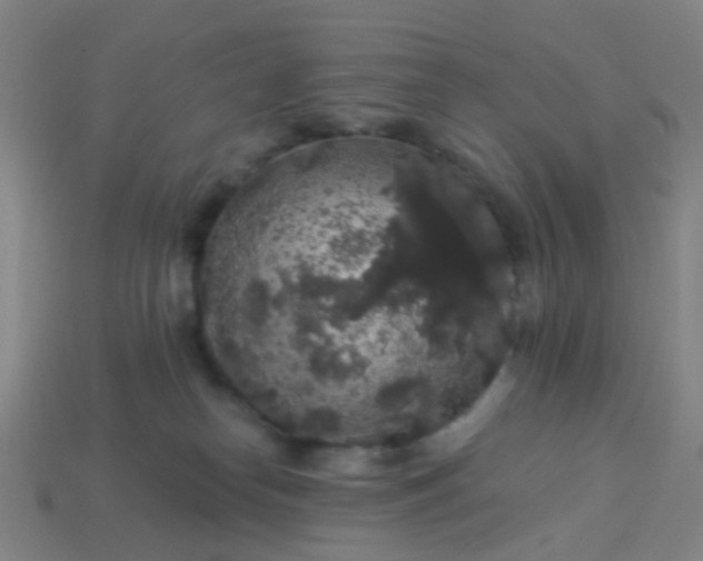 X0000114120182200910191731