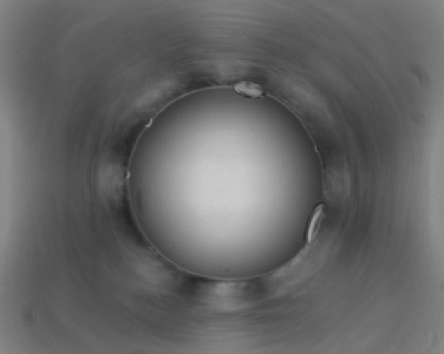 X0000114120184200910191731