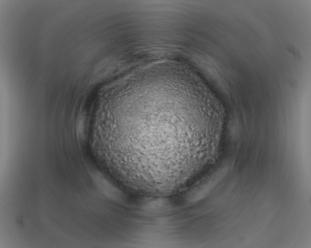 X0000114120185200910191731