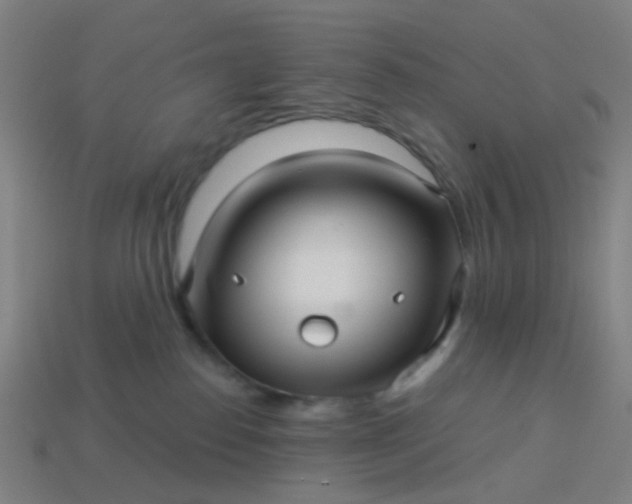 X0000114120186200910191731