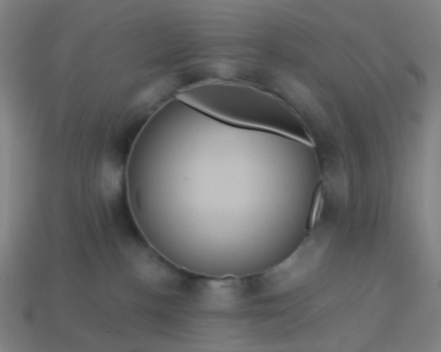 X0000114120188200910191731