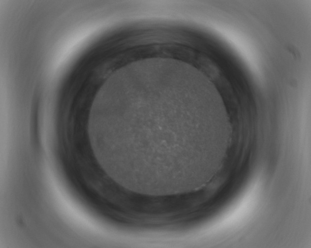 X0000114120191200910191731