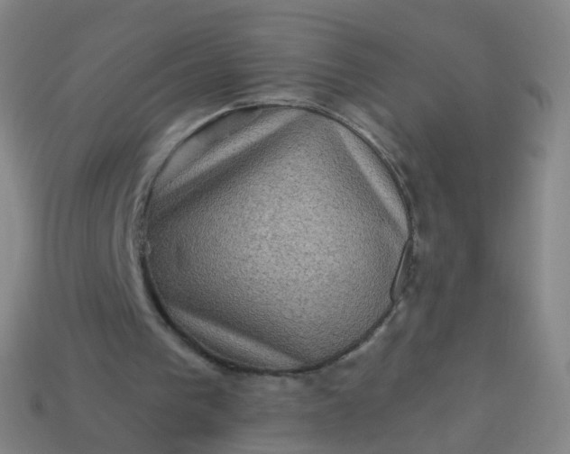 X0000114120193200910191730