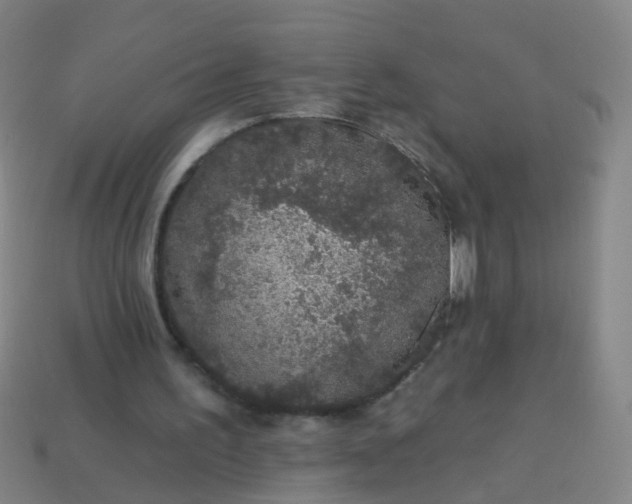 X0000114120195200910191730