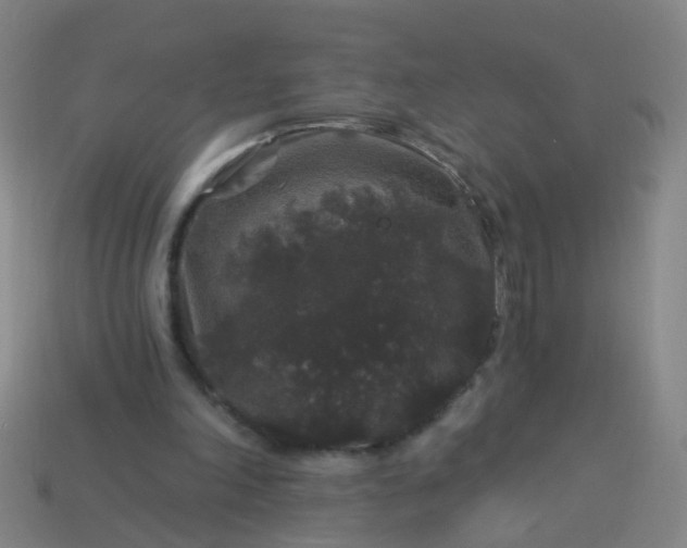 X0000114120198200910191730