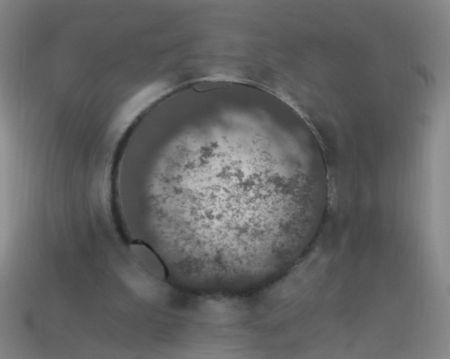 X0000114120199200910191730