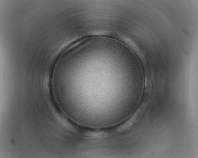 X0000114120201200910191730