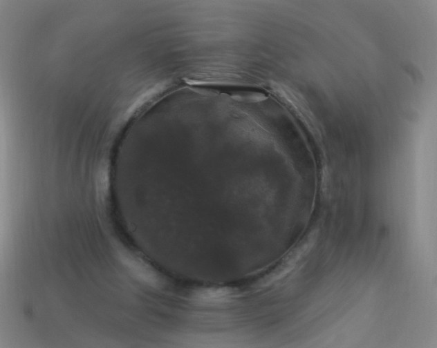 X0000114120202200910191730