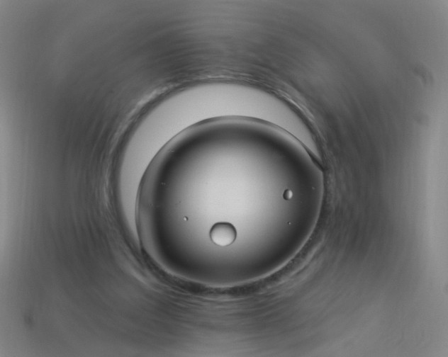 X0000114120203200910191730