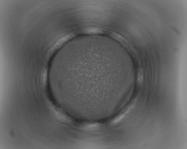 X0000114120206200910191730