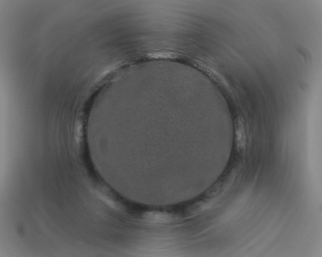 X0000114120211200910191730