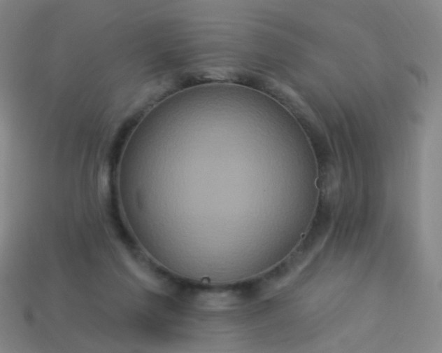 X0000114120213200910191730