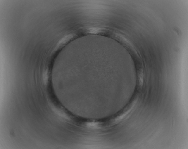 X0000114120216200910191730