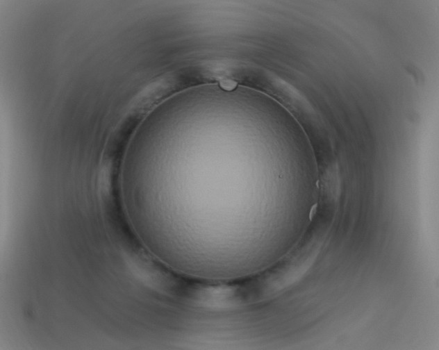 X0000114120217200910191730