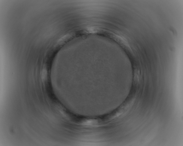 X0000114120220200910191730