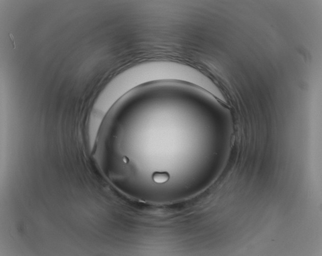 X0000114120221200910191730