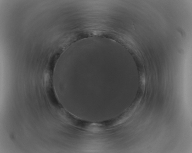 X0000114120222200910191730