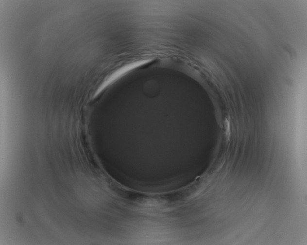 X0000114120223200910191730