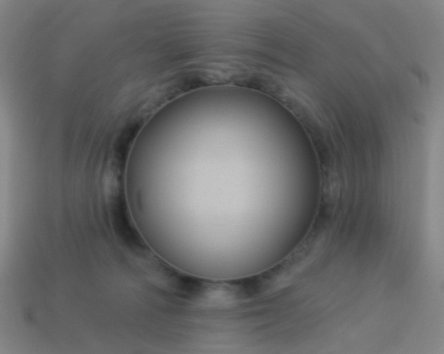 X0000114120226200910191730