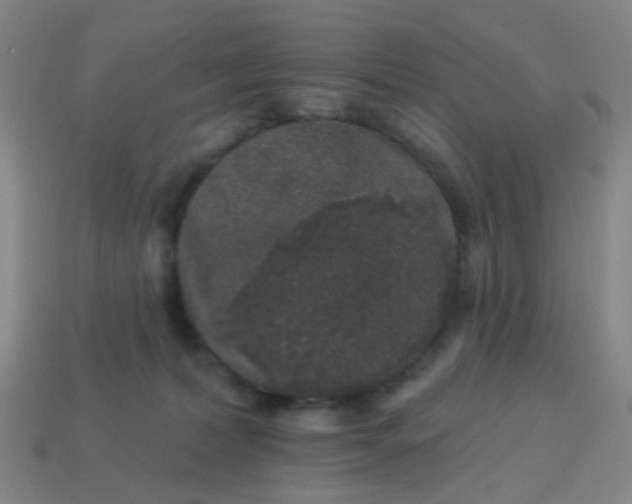 X0000114120228200910191730