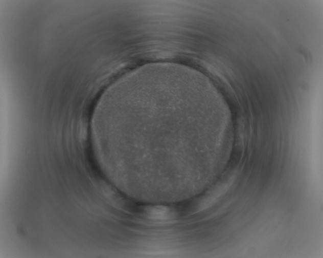 X0000114120230200910191730