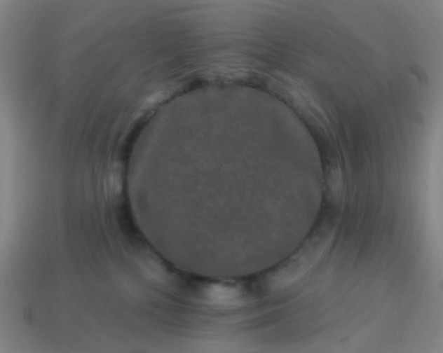 X0000114120232200910191730