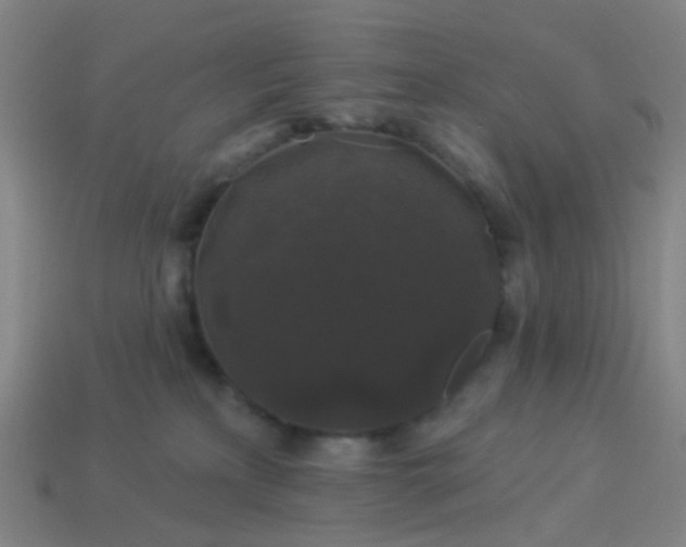 X0000114120233200910191730