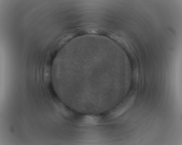 X0000114120234200910191730