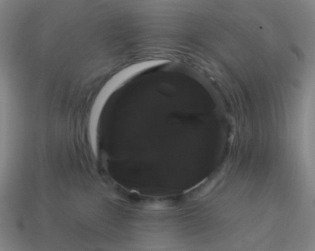 X0000114120235200910191730