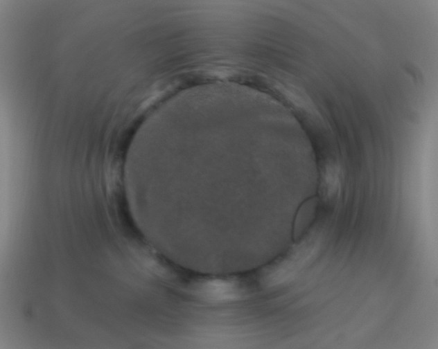 X0000114120236200910191729