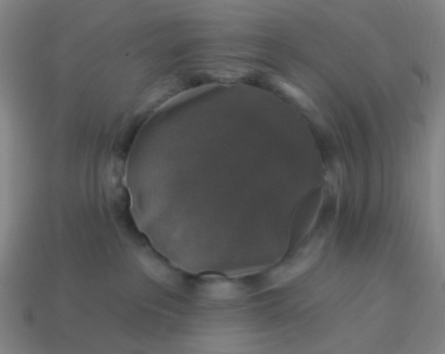 X0000114120237200910191729