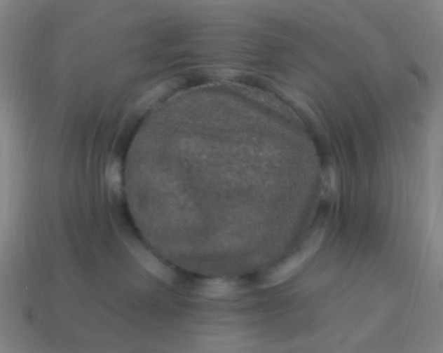 X0000114120238200910191729