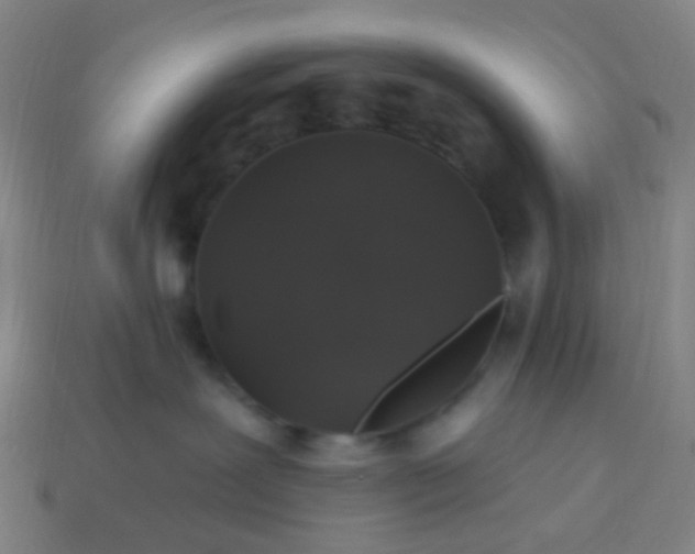 X0000114120239200910191729