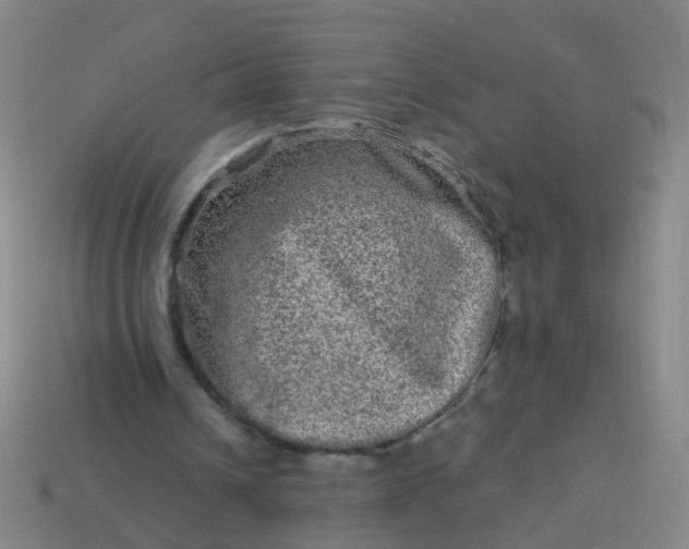 X0000114120242200910191729