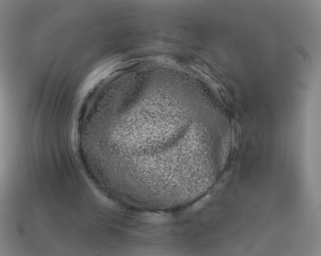 X0000114120245200910191729