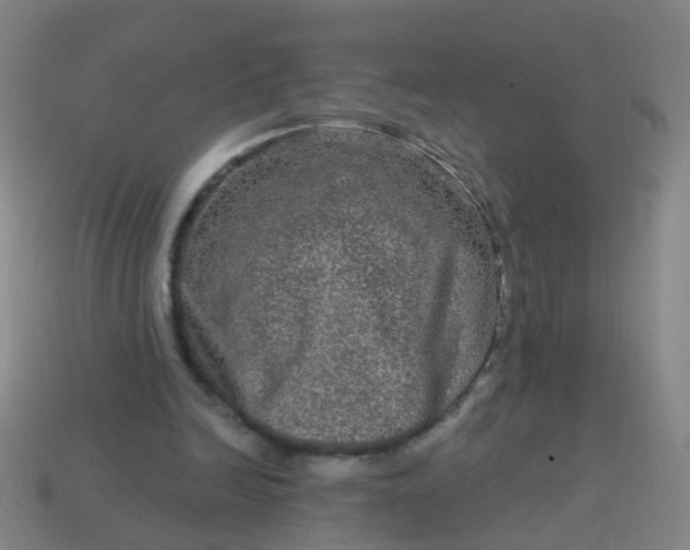 X0000114120246200910191729