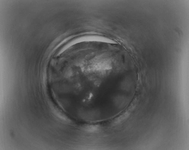 X0000114120247200910191729