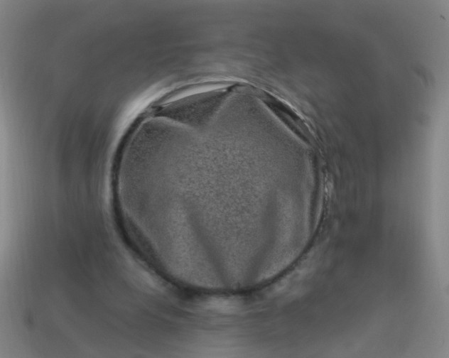 X0000114120248200910191729