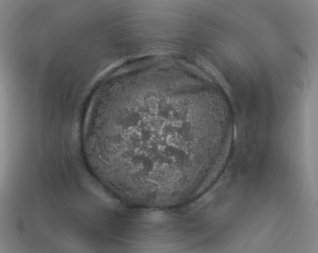 X0000114120249200910191729