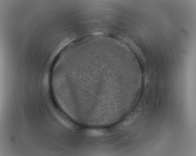 X0000114120250200910191729