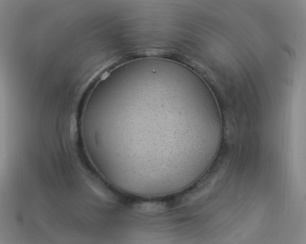 X0000114120251200910191729