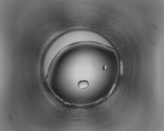 X0000114120252200910191729