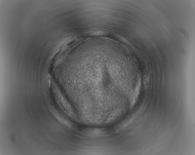 X0000114120254200910191729