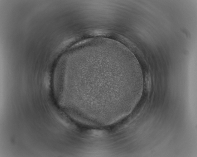 X0000114120255200910191729