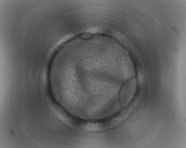 X0000114120256200910191729