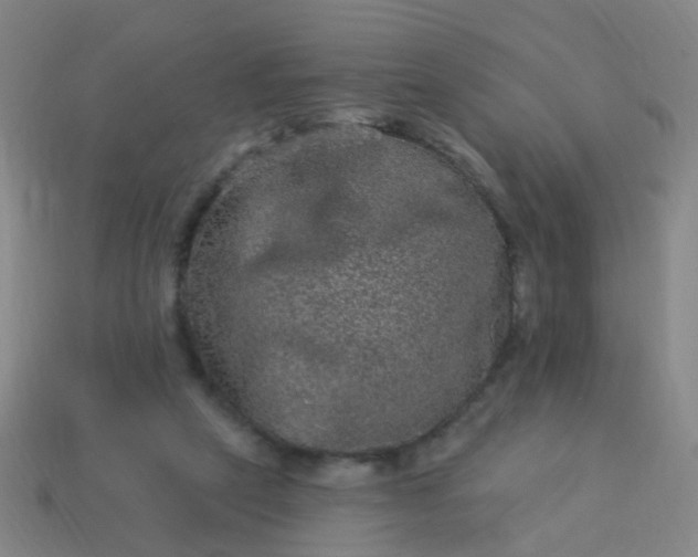 X0000114120257200910191729